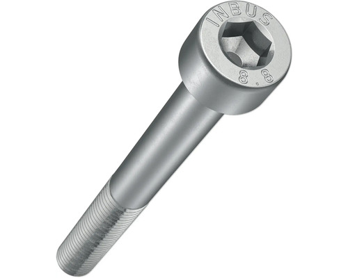 Inbusschraube aus Metall