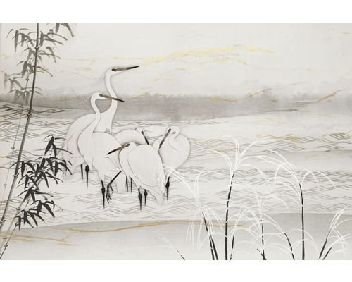 Papier peint panoramique intissé 2244-10 GMK Art Edition Birds Asia blanc 400 x 270 cm