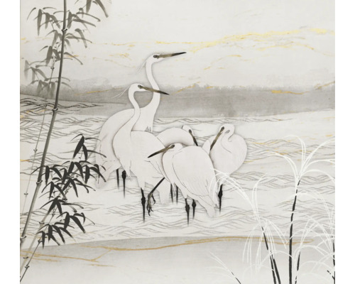 Papier peint panoramique intissé 2244-15 GMK Art Edition Birds Asia blanc 300 x 270 cm