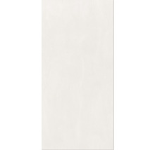 Duschrückwand SCHULTE DecoDesign Putzoptik 255 x 150 cm D1901525 540