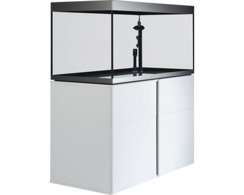 Combinaison aquarium avec meuble