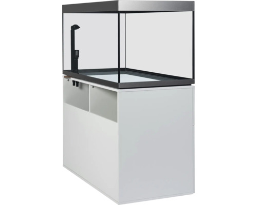 Aquarium avec meuble bas pour ranger les accessoires