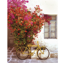 Gelbes Fahrrad an einer Wand mit Blumen und Fenster