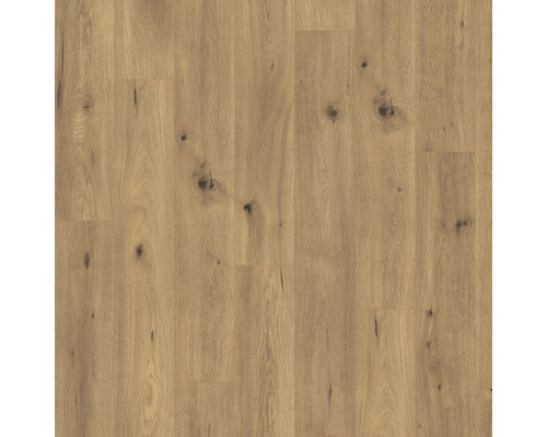 Stratifié 7.0 naturel Wild oak