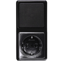 Combinaison interrupteur et prise