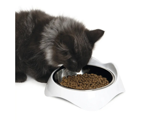 Eine Katze frisst aus einem weißen Futternapf für Katzen.