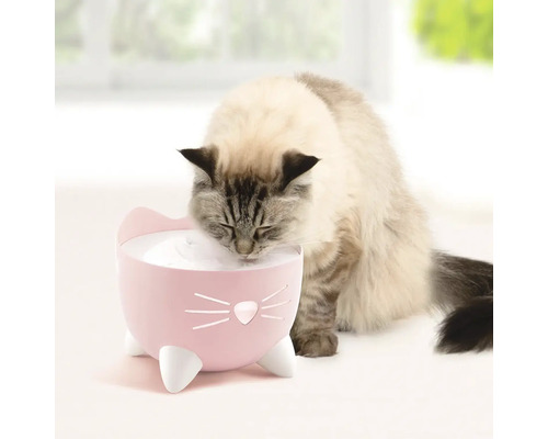 Fontaine à eau pour chat Catit Pixi - 2,5 L : Gamelles, distributeurs et  fontaines à eau pour chat CATIT animalerie - botanic®