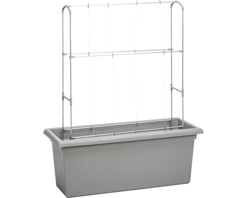 Pflanzkasten mit Rankhilfe