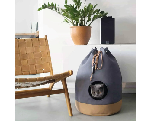 Chat dans une niche pour chat à côté d''une chaise et de plantes d''intérieur