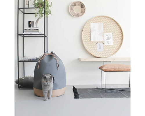 Salon avec maison pour chat dans un style moderne, étagère, banc et décoration