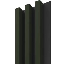 Dekorpaneel Linea Slim 3 grün schwarz 30x150x2650 mm