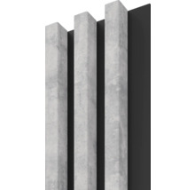 Dekorpaneel Linea Slim 3 grau schwarz 30x150x2650 mm