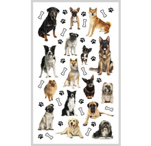 Illustration de différentes races de chiens avec des os et des empreintes de pattes