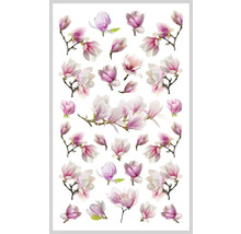 Magnolienblüten auf weißem Hintergrund
