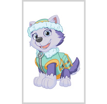 Ministicker Pat' Patrouille Everest 1 pce