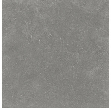FLAIRSTONE Feinsteinzeug Terrassenplatte Skyfall Grey rektifizierte Kante 60 cm x 60 cm x 2 cm