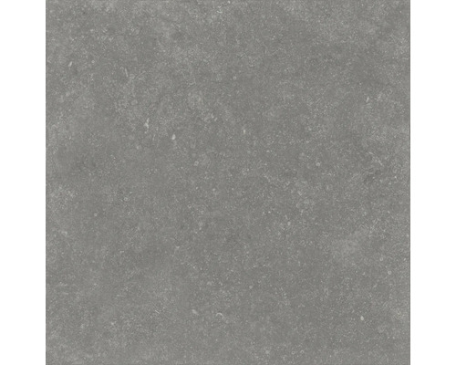 Dalle de terrasse en grès cérame fin FLAIRSTONE Skyfall grey 60 x 60 x 2 cm bord rectifié Carrelage de sol gris