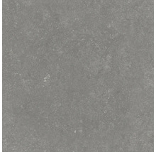FLAIRSTONE Feinsteinzeug Terrassenplatte Skyfall Grey rektifizierte Kante 60 cm x 60 cm x 2 cm