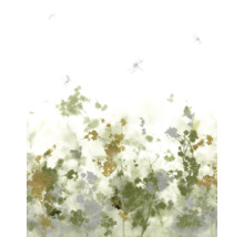 Illustration avec des plantes et des libellules