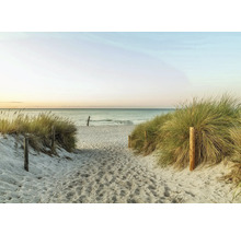 Sandweg zum Strand mit Dünenbewuchs