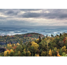 Paysage avec forêt, collines et brouillard sous un ciel nuageux