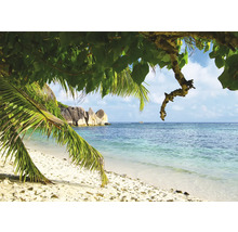Tropische Strandszene mit Sand, Felsen und Vegetation