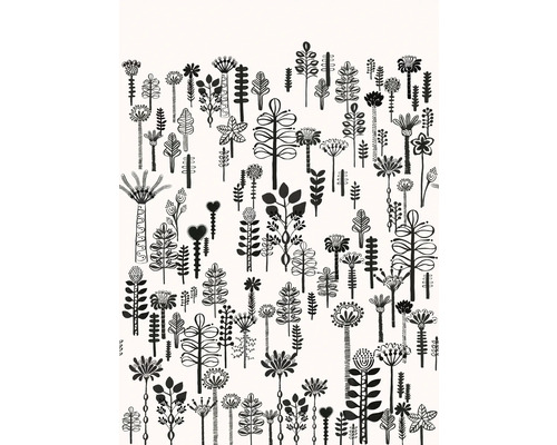 Fototapete Vlies Digitaldruck 557879 Magic Walls hygge schwarz 4-tlg. 200 x 280 cm Fototapete Vlies Digitaldruck 557879 Magic Walls hygge schwarz 4-tlg. 200 x 280 cm