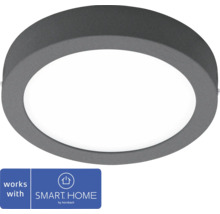 Applique murale/plafonnier LED Argolis 16,5 W anthracite-thumb-0