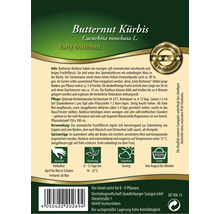 Kürbis 'Early Butternut' Quedlinburger Gemüsesamen