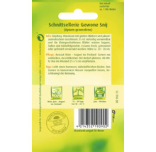 Céleri-feuille « Gewone Snij » Quedlinburger semence de fines herbes