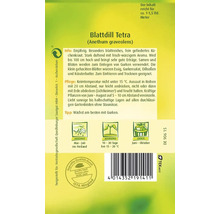 Dill 'Mammut' Quedlinburger Kräutersamen