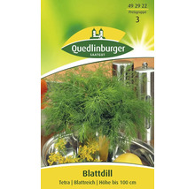 Blattdill Samenpackung von Quedlinburger Saatgut