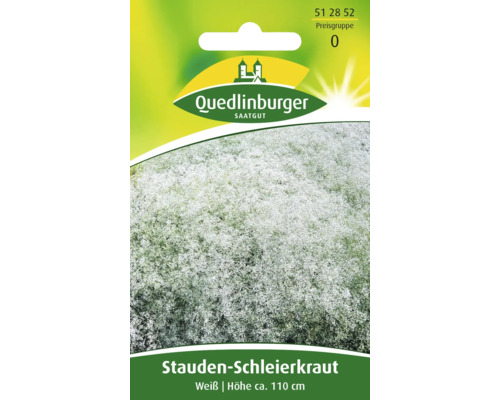 Stauden-Schleierkraut 'Weiss' Quedlinburger Blumensamen