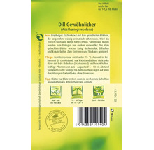 Samensack Dill Gewöhnlicher