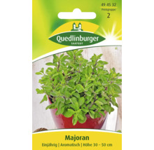 Majoran Quedlinburger Kräutersamen