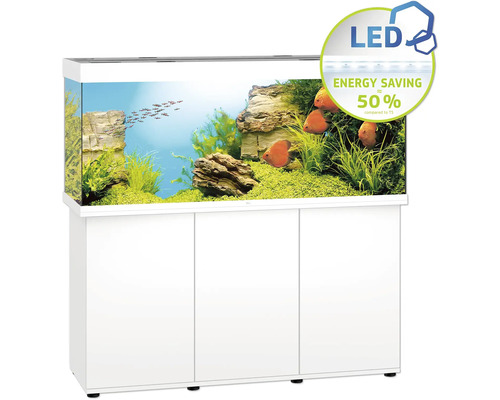 Aquarium mit Fischen, Pflanzen und Dekor auf einem Schrank