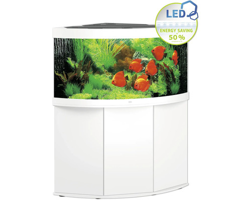 Komplettes Aquarium mit Fischen und Pflanzen sowie LED-Beleuchtung
