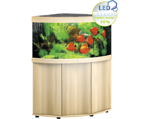 Eckaquarium mit LED-Beleuchtung und Unterschrank