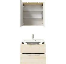 Badezimmer Waschtischkombination mit Spiegelschrank und Unterschrank