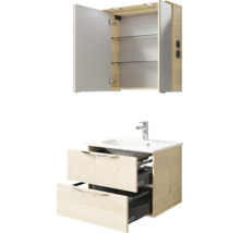 Badezimmer-Set mit Waschtischunterschrank, Waschbecken und Spiegelschrank mit Regalböden
