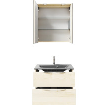 Waschtisch mit Waschbeckenunterschrank und Spiegelschrank mit Regalböden