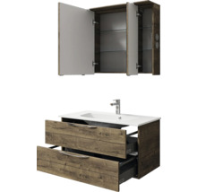 Badmöbel-Set mit Spiegelschrank und Waschbeckenunterschrank