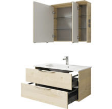 Waschtischunterschrank mit Waschbecken und Spiegelschrank für das Badezimmer