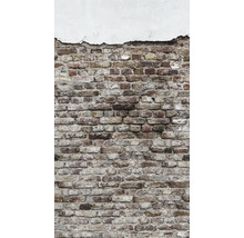 Ziegelwand mit Putz