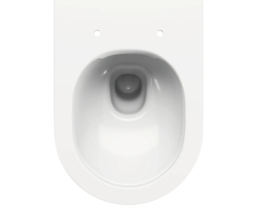 Abattant WC REIKA Ube blanc avec frein de chute forme en D - HORNBACH  Luxembourg