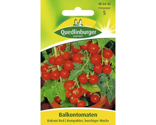 Tomate de balcon « Balconi Red » Quedlinburger semence de légumes