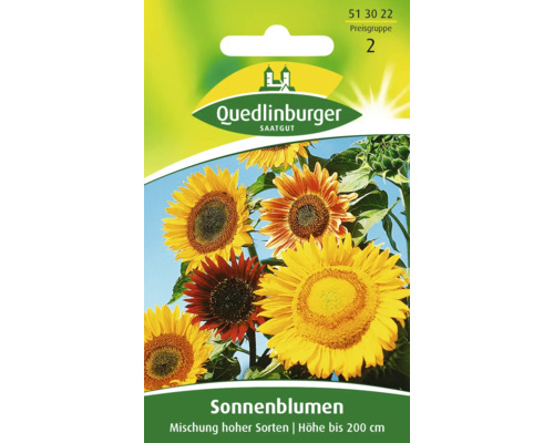 Tournesol « Sortes hautes mélangées » Quedlinburger mélange de semences de fleurs Paquet de graines de tournesol de Quedlinburger avec un mélange de variétés hautes