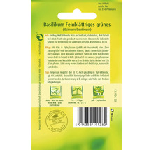 Graines de basilic pour basilic vert à feuilles fines