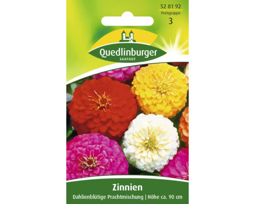 Zinnia « Fleurs de dahlia » mélange splendide Quedlinburger semence de fleurs Sachet de graines de zinnia de Quedlinburger
