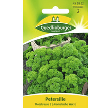 Petersilie 'Mooskrause 2' Quedlinburger Kräutersamen